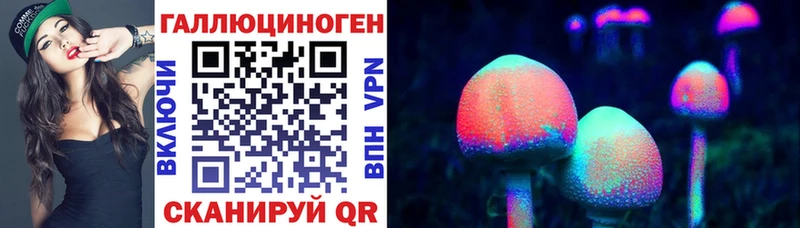 где продают наркотики  МЕГА как войти  Псилоцибиновые грибы Psilocybe  Фокино 