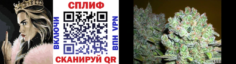 Конопля Bruce Banner Фокино